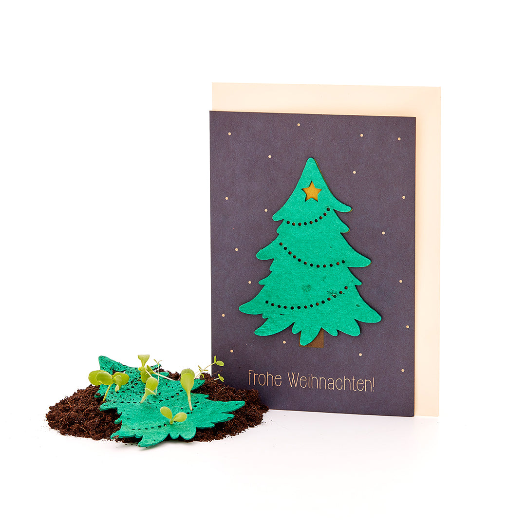 Nachhaltige Weihnachtskarte zum Einpflanzen mit TannenbaumMotiv inkl
