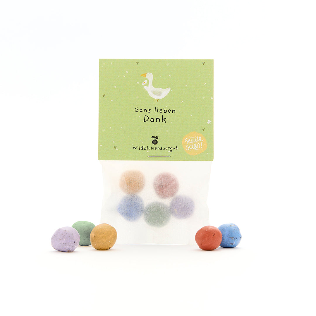 Tüte mit bunten Samenbällchen und grünem Etikett, darauf eine gezeichnete Gans und der Text "Gans lieben Dank – Wildblumensaatgut".