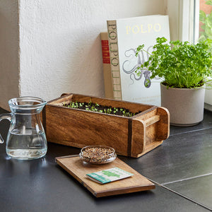 Ziegelform mit Keimlingen und Erde
