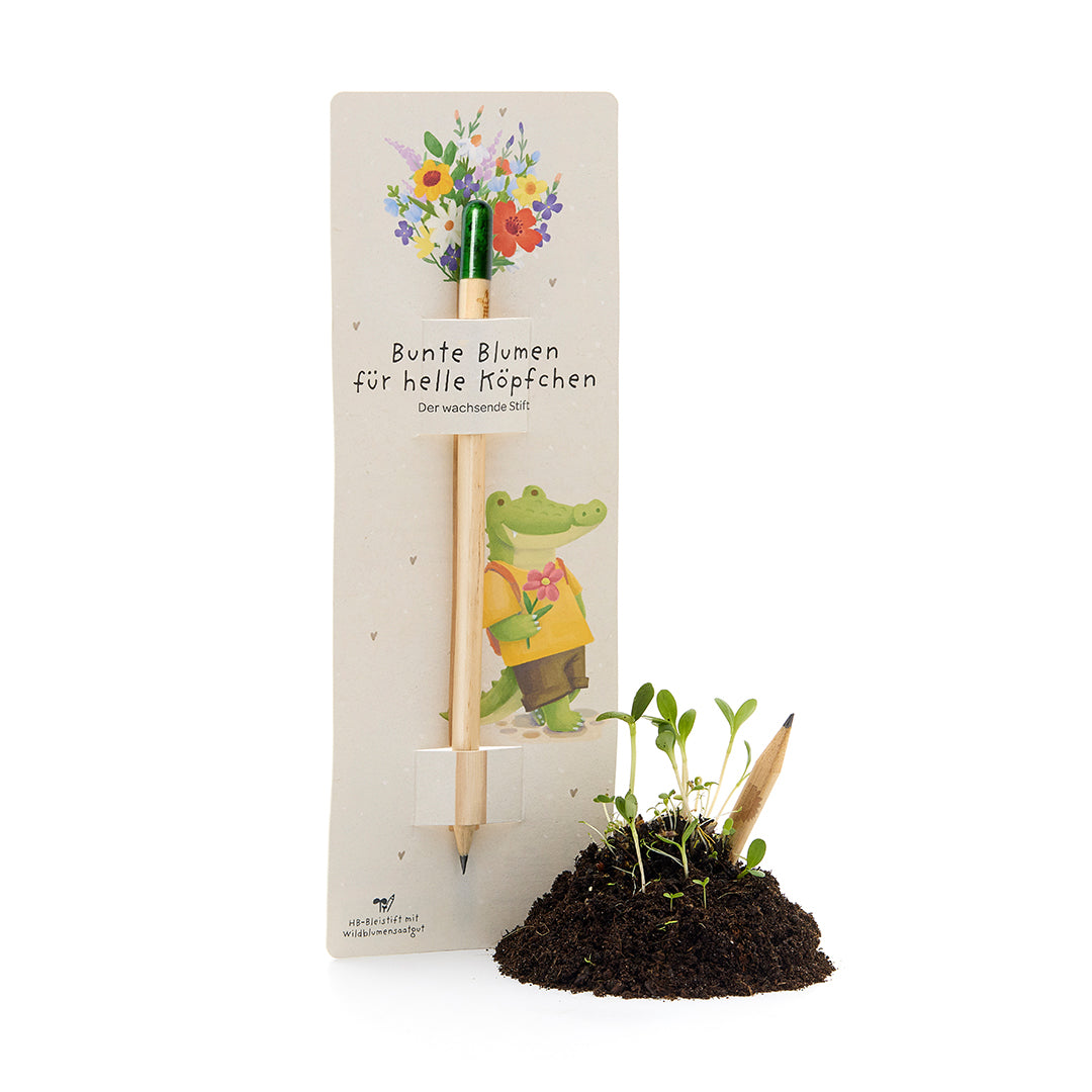 Wachsender Bleistift mit Samenkapsel - Blumenstift