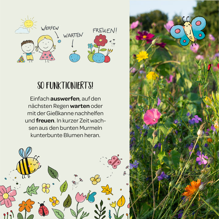 Illustration von Kindern, die Blumensamen werfen, mit Anleitungstext und einem Cartoon-Schmetterling neben einem Foto von Wildblumen.