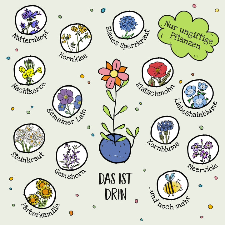 Illustration verschiedener wilder Pflanzen und Blüten mit Beschriftungen auf Deutsch, zentrale Vase mit Blume und Text "Das ist drin" sowie Schriftzug "Nur ungiftige Pflanzen" in einer Sprechblase.