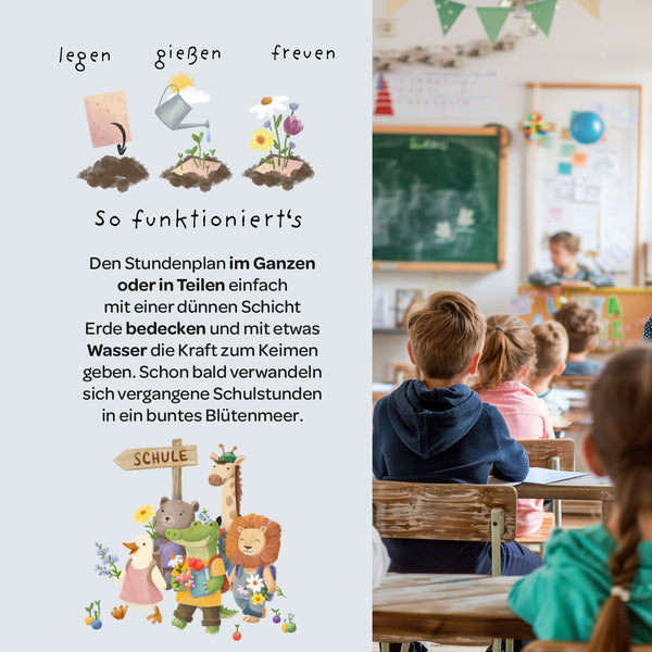 Wachsender Stundenplan