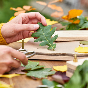 HĂ€nde legen ein grĂŒnes Blatt auf eine Holzpresse, umgeben von bunten HerbstblĂ€ttern.