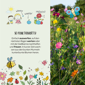 Illustration mit Kindern, die Samen auswerfen, warten und sich über Blumen freuen; daneben eine blühende Blumenwiese mit Schmetterling und gezeichneten Insekten.