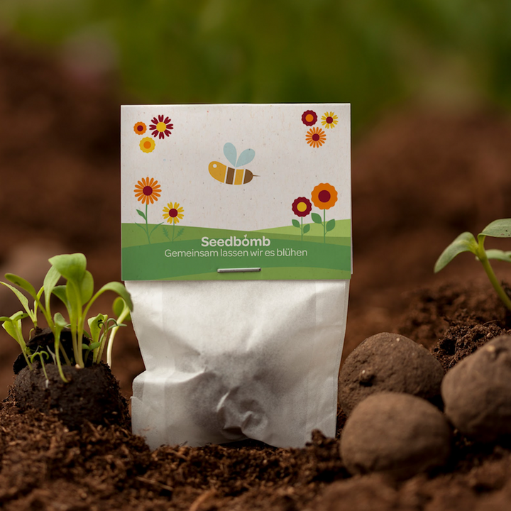 Seedbomb-Verpackung im Gartenboden mit Sämlingen und Samenbomben umgeben von Erde.