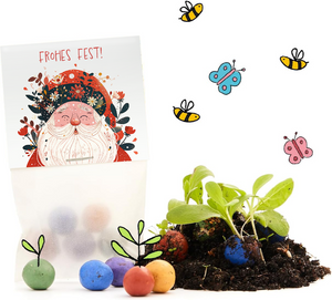 Geschenkset mit "Frohes Fest!" Karte, bunten Samenbällen, Erde, jungen Pflanzen sowie gezeichneten Bienen und Schmetterlingen.