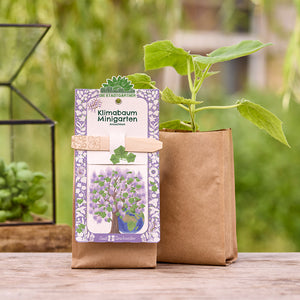 Ein Klimabaum-Minigärten Anzuchtset mit Pflanze in brauner Papiertüte steht auf einem Holztisch im Garten.