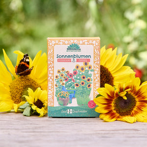Eine Packung Sonnenblumensamen steht auf einem Holztisch, umgeben von Sonnenblumen und einem Schmetterling im Freien.