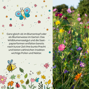 Linke Bildhälfte mit Text über Wildblumensaatgut, illustriert mit bunten Blumen, Schmetterlingen und Bienen; rechte Bildhälfte zeigt eine blühende bunte Blumenwiese im Garten.
