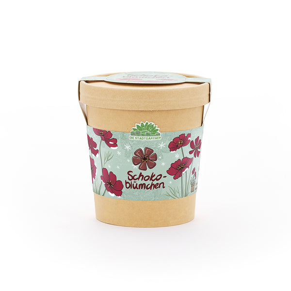 Schokoblumen aus dem Becher