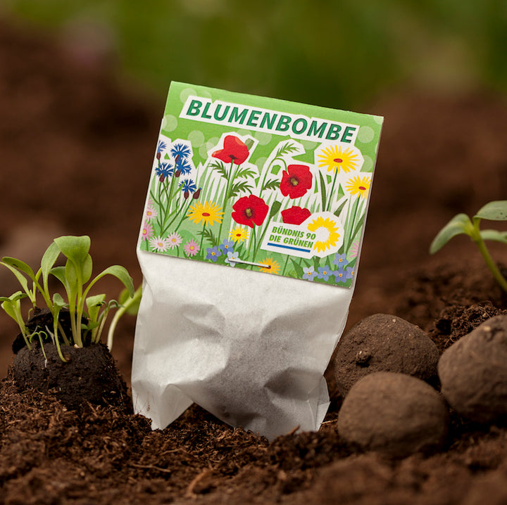 Paket "Blumenbombe" in Erde mit keimenden Pflanzen und Samenkugeln.
