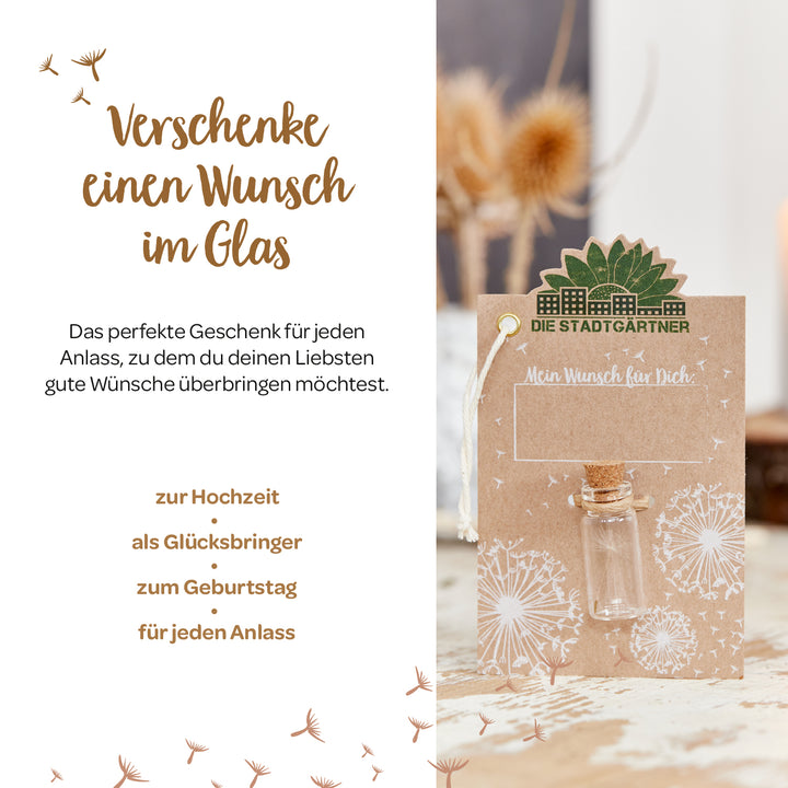 Werbebild für ein Geschenkkonzept "Wunsch im Glas" mit Texten, einem Gläschen an einer Karte und Trockenblumen im Hintergrund.