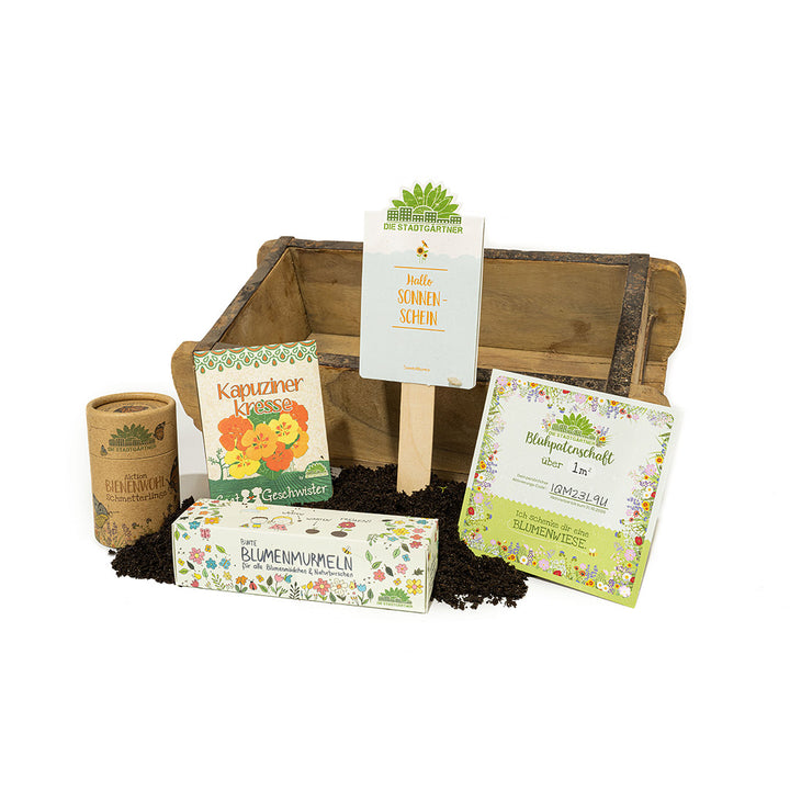 Gartenbau-Set mit verschiedenen Samenpackungen und Pflanzmaterialien auf einem Holztisch.