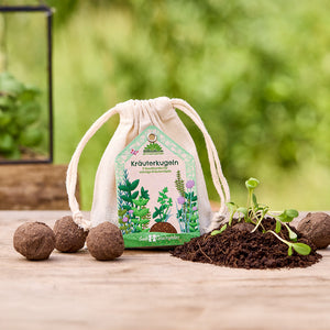 Stoffsäckchen mit der Aufschrift "Kräuterkugeln" und Abbildungen von Kräutern, umgeben von Seedbombs und jungen Pflanzentrieben auf einem Holztisch.