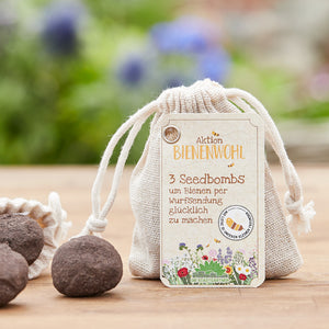 Beutel mit Etikett "Aktion Bienenwohl" und drei Seedbombs auf einem Holztisch, im Hintergrund unscharfe Blumen.