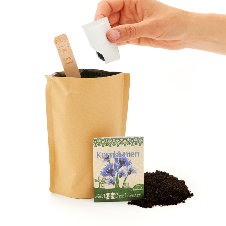 Hand fügt Samen einem Pflanzbeutel hinzu, daneben liegt eine geöffnete Packung mit Kornblumensamen und eine Handvoll Erde.