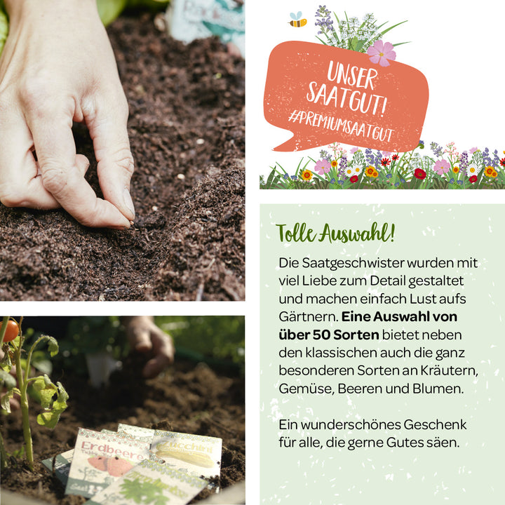 Eine Hand pflanzt Samen in Erde, Werbeschild für Saatgut mit Text, Saatguttüten im Garten.