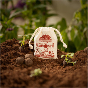 Ein Säckchen mit der Aufschrift "Blumen Seedbombs" auf fruchtbarer Erde neben Keimlingen und Samenbomben.