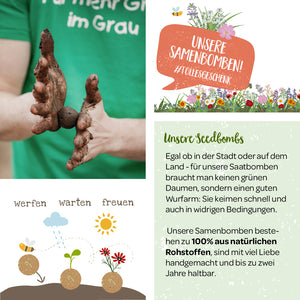 Person hält erdige Saatbomben über einem Flyer für Saatbomben mit Anweisungen und Vorteilen.