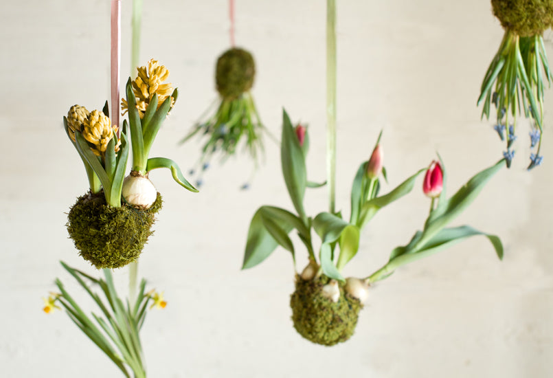 Die Top 5 des Urban Gardening DIY