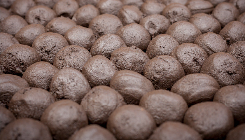 Selbstgesammeltes Saatgut zu Seedbombs rollen