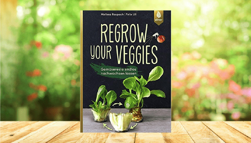 Gemüsereste endlos nachwachsen lassen: Book Review "Regrow Your Veggies"