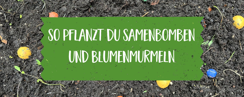 So werden Samenbomben richtig gepflanzt