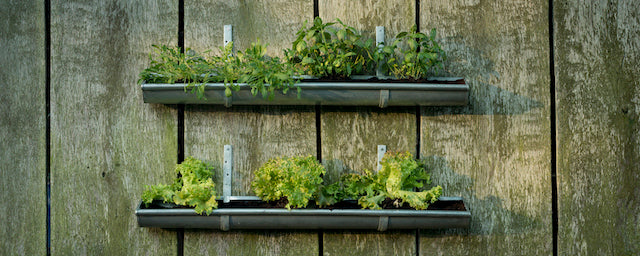DiY: Vertikaler Garten aus Regenrinne