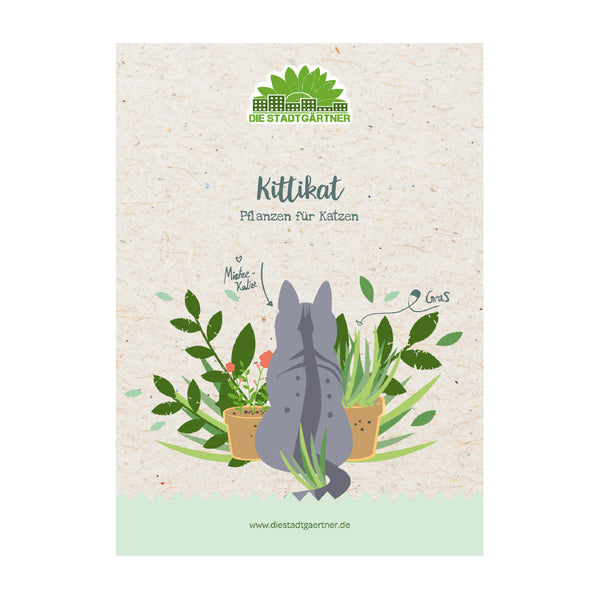 Illustration einer grauen Katze, die sich zwischen Zimmerpflanzen umdreht, auf einem Flyer von "Die Stadtgärtner" mit dem Titel "Kittikat - Pflanzen für Katzen".