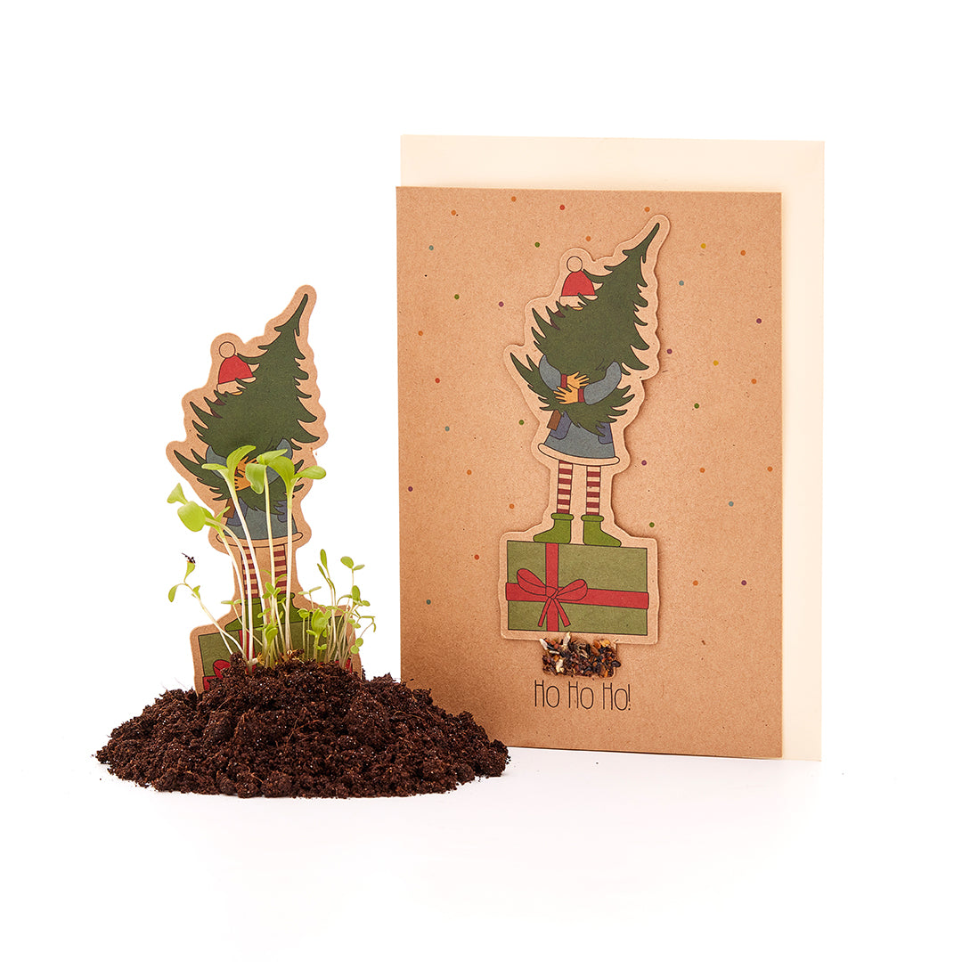 Lang Weihnachtskarten Mit Pop-Up-Motiv – 8 Karten Mit Umschlägen, In Box