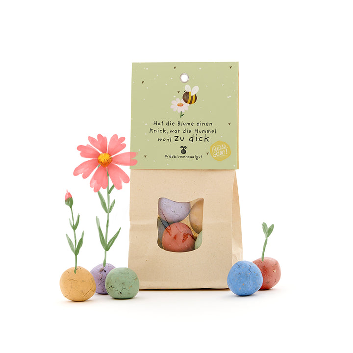 Papiertüte mit bunten Samenbomben und Aufschrift „Hat die Blume einen Knick, war die Hummel wohl zu dick“, daneben blühende Blumen aus den Samenbomben.