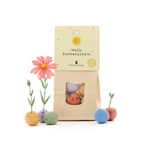 Papiertüte mit der Aufschrift „Hallo Sonnenschein“ und bunten Samenbomben, aus denen Blumen wachsen.