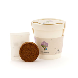 Pflanzset mit Anzuchtbecher, Erdtablette und Samentüte für einen Klimabaum.