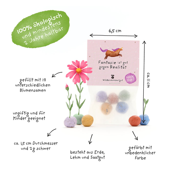 Packung mit bunten Samenbällchen, beschriftet mit Informationen wie „100% ökologisch“, verschiedenen Blumensamen, ungiftig und kinderfreundlich, Durchmesser ca. 1,5 cm, aus Erde, Lehm und Saatgut, farbig und mindestens 2 Jahre haltbar.