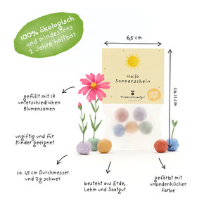 Verpackung mit bunten Samenbällchen, daneben handgezeichnete Pflanzen und erklärende Texte auf Deutsch zu Eigenschaften wie biologisch, ungiftig, gefüllt mit 19 Blumensamen, und Größe der Samenbällchen.
