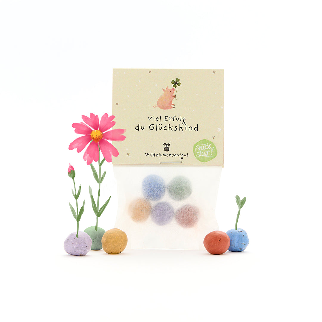 Tüte mit bunten Samenbällen, Blumen und einer Karte mit der Aufschrift "Viel Erfolg du Glückskind" auf Deutsch.