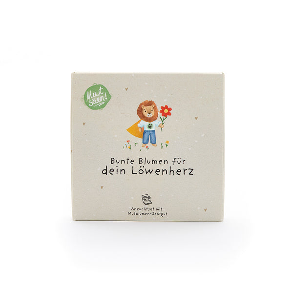 Pflanzkästchen – Mutblumen