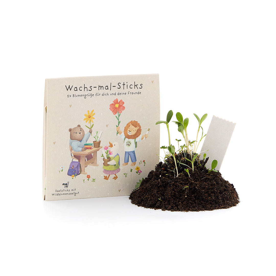 Wachs-mal-Sticks