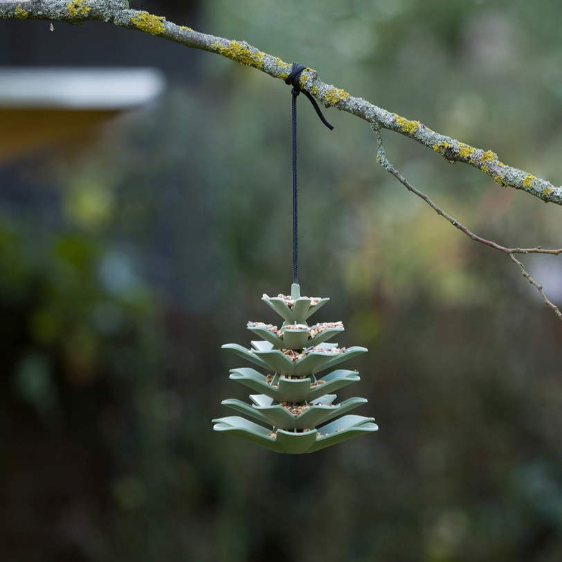 Vogelfutterspender Zapfen