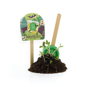 Party favor for the Halloween party