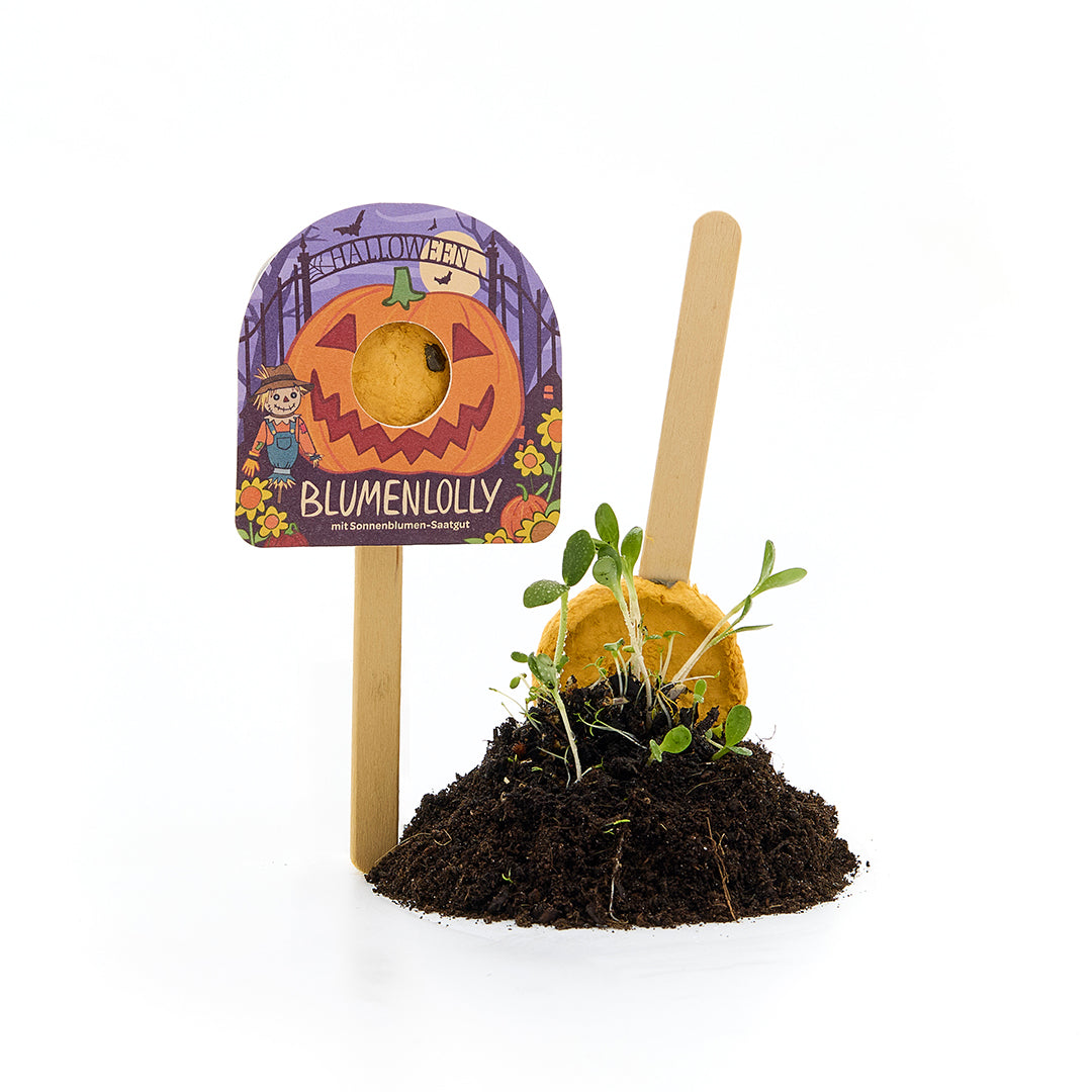 Halloween - Blumenlolly - Sonnenblume