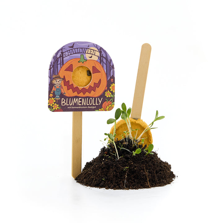 Halloween - Blumenlolly - Sonnenblume