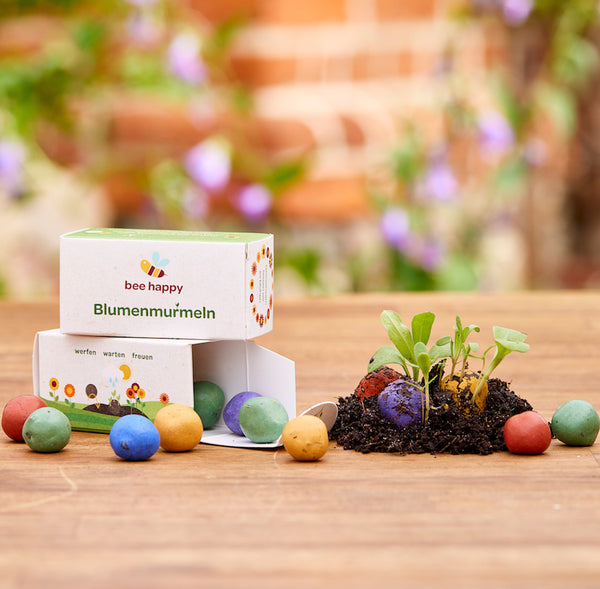 12 Blumenmurmeln in einer Faltschachtel