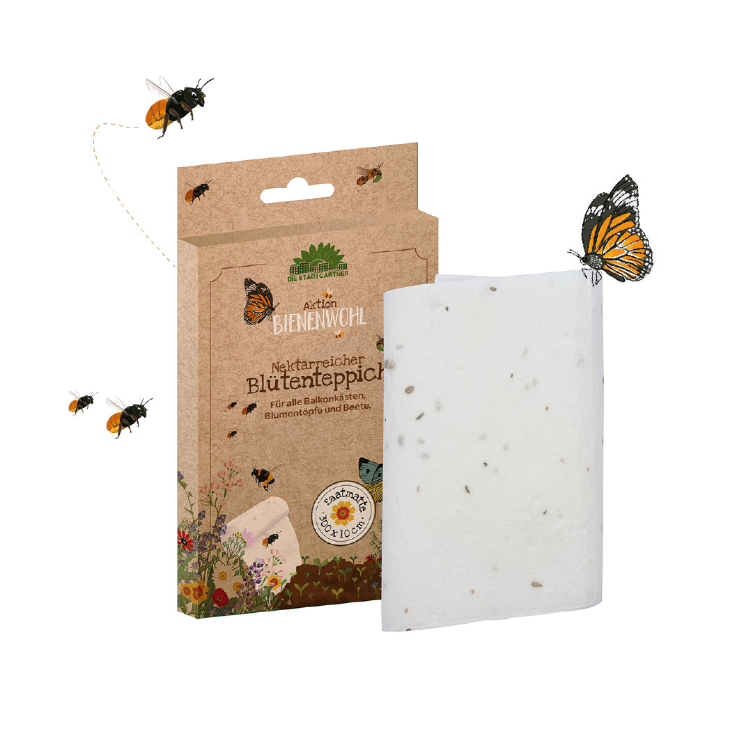 Bienenwohl - Blütenteppich