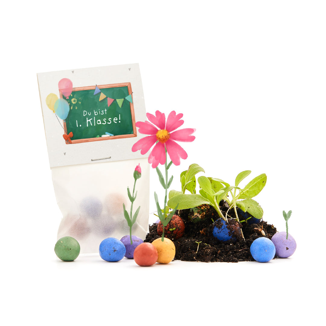5 Blumenmurmeln im Tütchen zur Einschulung "Du bist 1. Klasse"