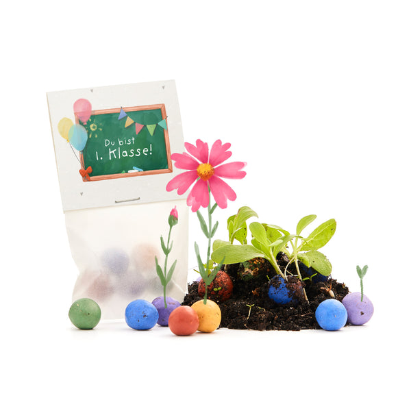 5 Blumenmurmeln im Tütchen zur Einschulung "Du bist 1. Klasse"