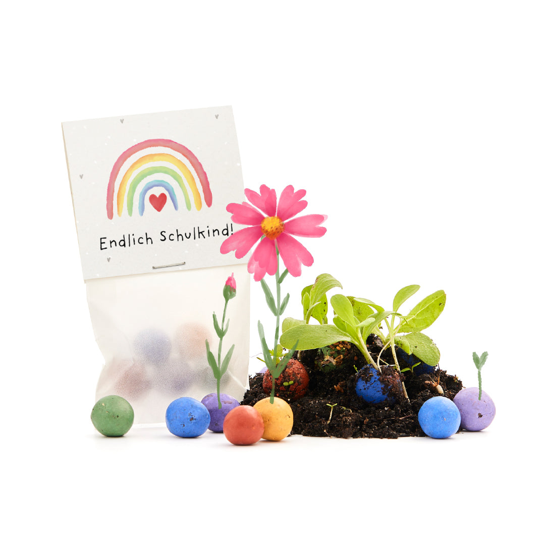 5 Blumenmurmeln im Tütchen zur Einschulung "Endlich Schulkind" | Kleines Geschenk zur Einschulung für Zucktertüte und Schultüte