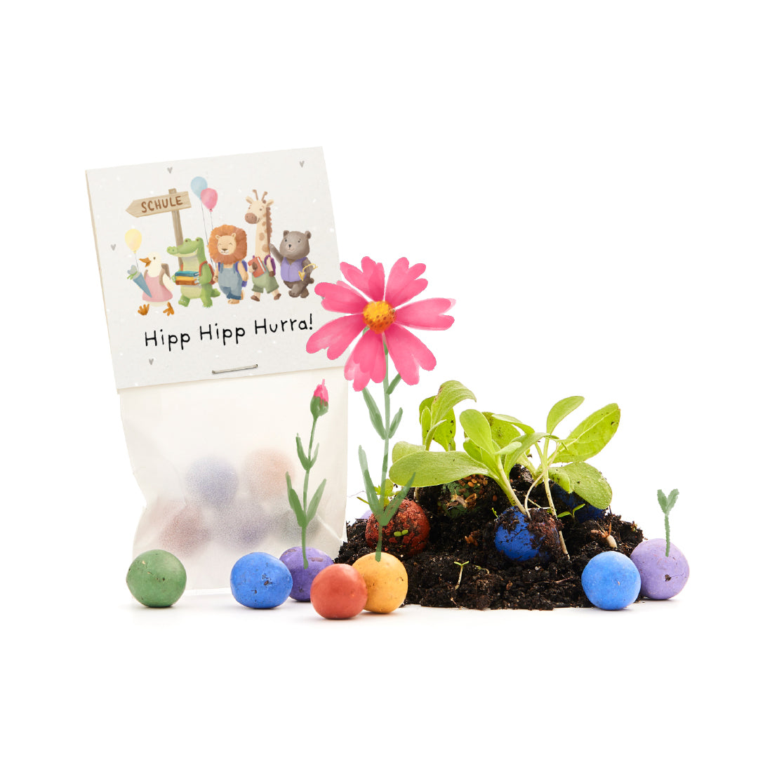 5 Blumenmurmeln im Tütchen zur Einschulung "Hip Hip Hurra!" | Kleines Geschenk zur Einschulung für Zucktertüte und Schultüte
