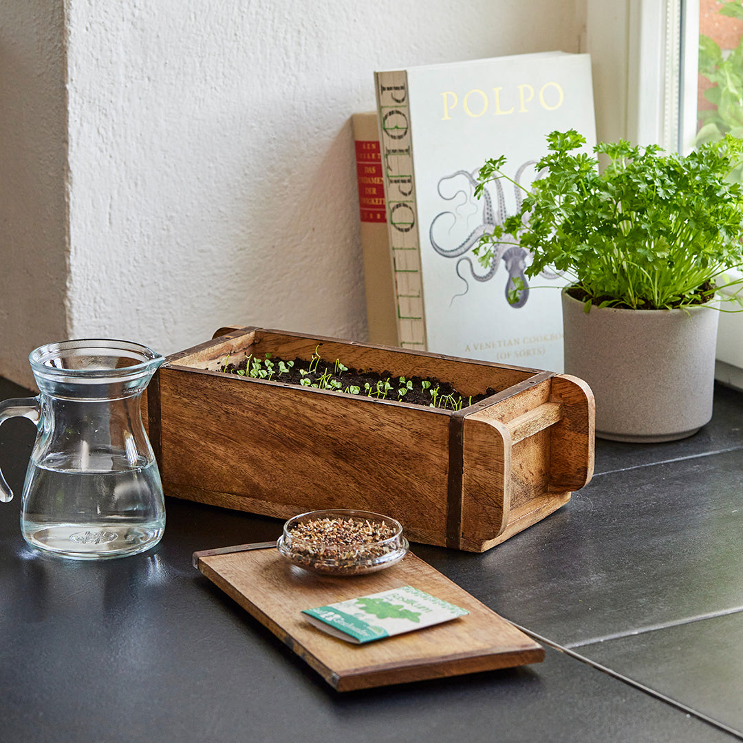Ziegelform mit Keimlingen und Erde